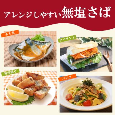 ふるさと納税 下関市 【7営業日以内発送】 訳あり さば 骨取 国産 約2kg MH103 |  | 03