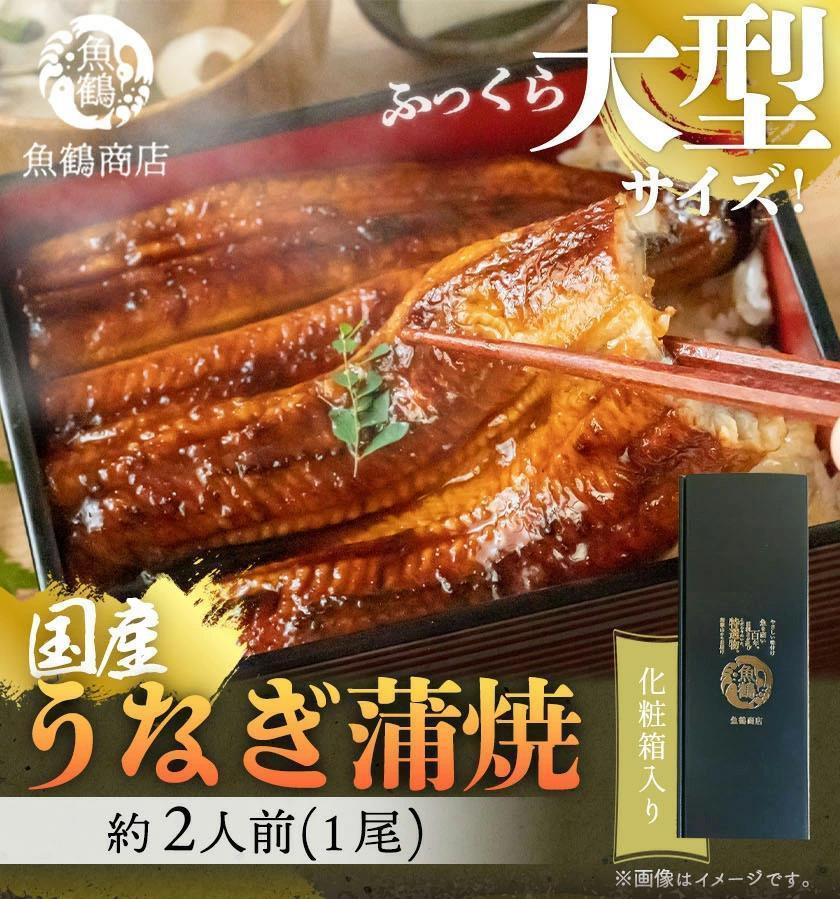 
大型サイズ　ふっくら柔らか　国産うなぎ蒲焼き　１尾（約2人前）化粧箱入【土用の丑の日のうなぎ】【～7月24日までにお届け】【UT04】
