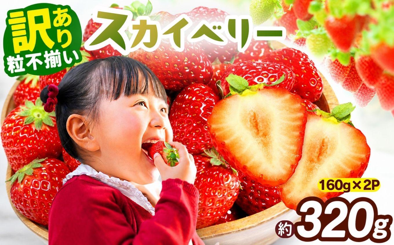 訳あり 粒不揃い スカイベリー 320g (160g×2P) 【2027年先行予約】 いちご 苺 | 栃木県 矢板市