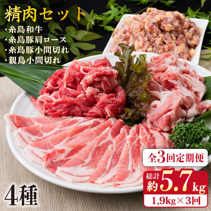 【ふるさと納税】【全3回定期便】牛・豚・鶏 日常使い セット 1,930g （4〜5人前・4種） 糸島市 / 糸島ミートデリ工房 [ACA197] 精肉 49000円