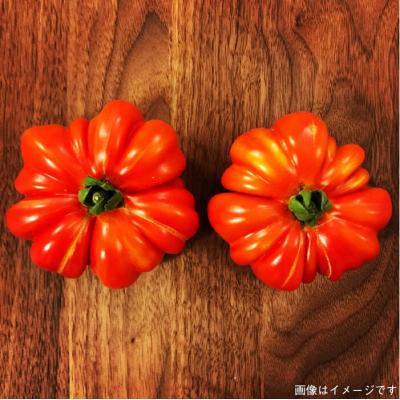ふるさと納税 糸島市 糸島の福袋!朝採りオーガニック旬野菜お任せ5品+糸島産大ヒット特産加工品2品セット [AGE028] |  | 01
