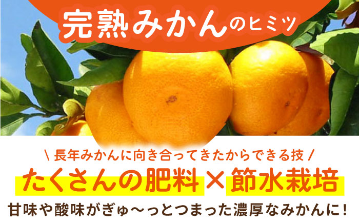＜先行予約＞【11月～12月発送】タッチの甘熟早生みかん「太陽のしずく」5kg【夢の完熟みかん タッチ】 [HCE001]