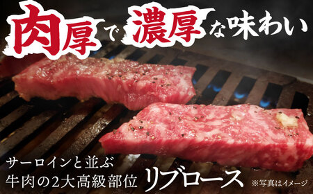 飛騨牛 リブロース ステーキ 540g (3枚) [TDC008] 肉厚 ステーキ