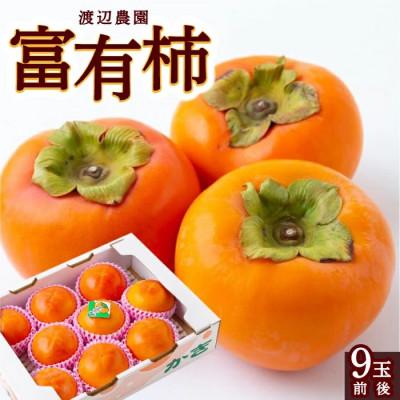ふるさと納税 うきは市 【のし付き】富有柿 9玉前後U102-2KA-FY03