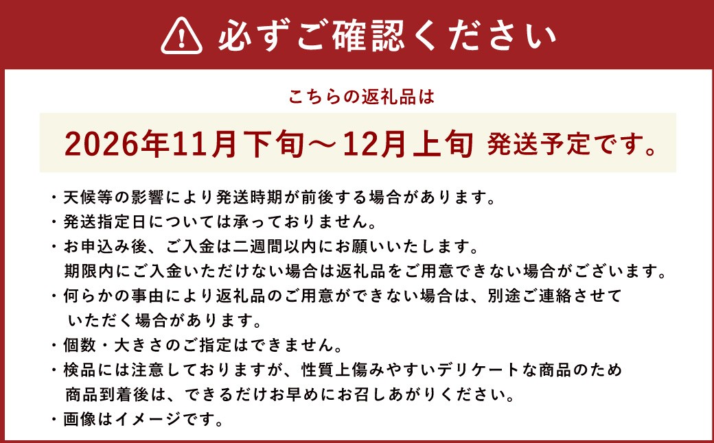 皇室献上の誇り。とろける甘さと極上のなめらかさ。会津若松市「山内農園」の会津身しらず柿　約2.5kg(8-11個) 