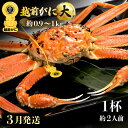 【ふるさと納税】≪浜茹で≫越前がに 大サイズ（生で約0.9〜1kg） × 1杯 約2人前 食べ応えあり！【雄 ズワイガニ 越前ガニ 姿 ボイル 冷蔵 かに カニ 蟹 福井県】【3月発送分】希望日指定可 備考欄に希望日をご記入ください [e49-x002_03]