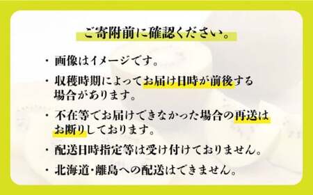 【2024年11月以降発送】高糖度で酸味控えめ！キウイフルーツ「甘うぃ」 3.6kg＜一般社団法人地域商社ふるさぽ＞那珂川市 果物 フルーツ キウイ キウイフルーツ 九州産 ギフト プレゼント  産地