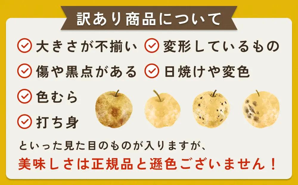 【先行予約】（訳あり）中野農園 梨 ”二十世紀梨” 5kg箱｜鳥取 岩美 梨 なし ナシ※お届けは2026年8月下旬以降【41027】