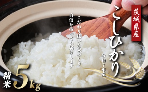 令和7年産 コシヒカリ 精米 5kg │ 米 白米 精米 こしひかり 茨城県産こしひかり コシヒカリ 茨城産こしひかり 茨城こしひかり 茨城県産 こめ コメ お米 2025年産 ごはん 数量限定 茨城県 つくば市