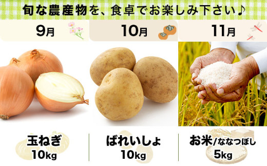 ＜先行予約＞いわみざわの新鮮農産物セット(5or6月～11月 全6回)※定期便【11106】