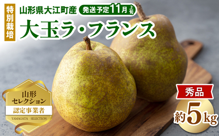 《先行予約》特別栽培 大玉 ラ・フランス 約5kg・秀品4L～3L 【2025年11月上旬頃～発送予定】 025-019