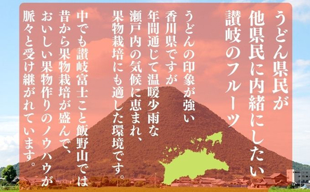 最高峰！三豊市の「曽保みかん」約5kg