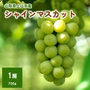 【ふるさと納税】上山市産 シャインマスカット 大房 1房 700g以上 秀品 果物 フルーツ ぶどう お取り寄せ 山形 産地直送 送料無料 山形県 上山市 0140-2402