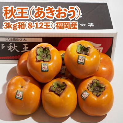 ふるさと納税 大木町 【先行受付】福岡産ブランド 柿 秋王 約3kg(8-12玉)(大木町)CO012