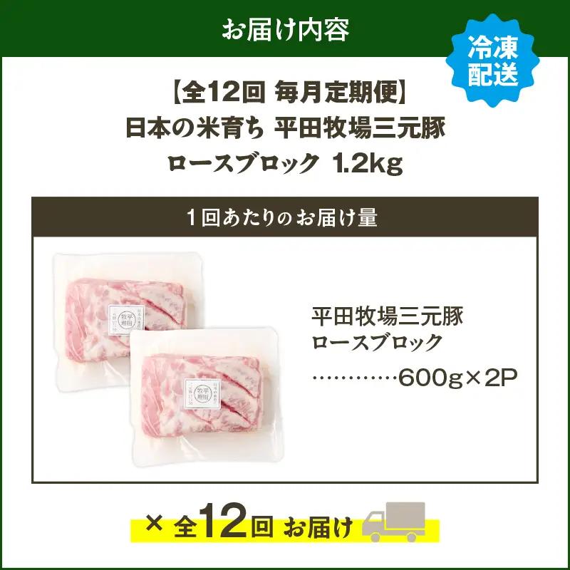 【 全12回 毎月 定期便 】 日本 の 米育ち 平田牧場 三元豚 ロース ブロック 1.2kg T036-T07-03 肉 豚肉