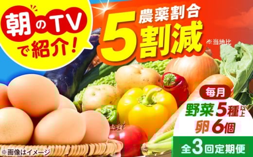 【全3回定期便】 米ぬかで育てた！旬のお野菜＆平飼い卵セット 詰合せ 詰め合わせ 新鮮 産地直送 おまかせ やさい 野菜セット 大阪府高槻市/ベジ彩ファーム [AOEJ005] 朝のTVで紹介 旬の野菜セット 新鮮野菜 産地直送 卵 たまご 平飼い卵 やさいセット 家庭用 食材セット サラダ料理 煮物 炒め物 健康志向 ギフト 贈答用 お取り寄せグルメ 栽培 栄養満点 食卓彩り 家庭料理 人気