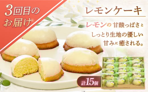 【5回定期便】焼き菓子・スイーツ贅沢5種定期便（ババロアケーキ・ロールケーキ2種・レモンケーキ・リアンハート・クランベリーレアチーズケーキ） [OAD025] / 菓子 スイーツ ケーキ チョコレート