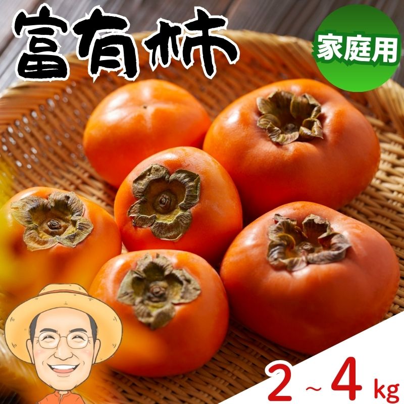 【ふるさと納税】お試しに！【ご家庭用】富有柿 約2kg 約4kg (箱込) カキエモン農園 【2025年11月下旬～12月下旬頃順次発送】/ 和歌山県 かつらぎ町 果物 くだもの フルーツ 柿 かき 和歌山 人気 送料無料