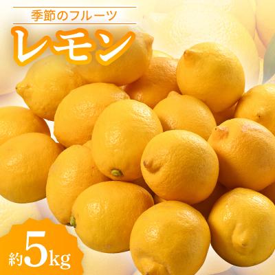 ふるさと納税 香川県 季節のフルーツ「レモン」約5kg【令和7年11月〜令和8年4月発送】