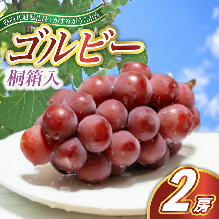 【ふるさと納税】【2025年9月より順次発送予定】ゴルビー　桐箱入り2房(県内共通返礼品:かすみがうら市産)【配送不可地域：離島・沖縄県】 (BR115)