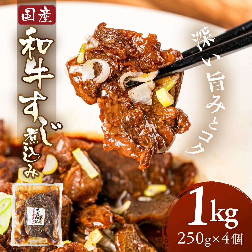 【ふるさと納税】＼深い旨みとコク／和牛すじ煮込み 1kg～4kg 250g 個包装 レトルト 牛すじ 牛すじ煮込み 牛すじ煮 国産 黒毛和牛 国産和牛 和牛 国産牛 煮込み 煮物 冷蔵 便利 お手軽 大容量 小分け 手作り ストック 惣菜 お惣菜 10000円 1万円 中部ミート 岐阜県 大垣市