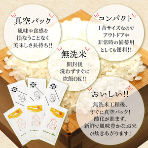 無洗米コシヒカリ 10パック【 無洗米 真空パック 小分け 個包装 コシヒカリ こしひかり 無洗 お米 米 ふるさと無洗米 洗わず 農家直送 アウトドア キャンプ 備蓄用 備蓄米 非常食 丹波 綾部 