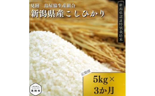 新潟 特別栽培米 令和6年産 コシヒカリ 「鳥屋脇町生産組合コシヒカリ」 精米 15kg ( 5kg×3ヶ月 ）定期便 精米 したてを お届け 新潟 のど真ん中 見附市 こしひかり 米 お米 白米 国産 ごはん ご飯 県認証米 安心安全