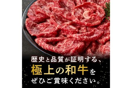 【D8-016】森本牧場産 本格黒毛和牛 筑穂牛 赤身スライス 500g