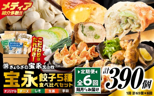 【定期便・全6回 隔月】手包み餃子 ぎょうざの宝永 5種食べ比べセット（65個入）　T004-T07-03