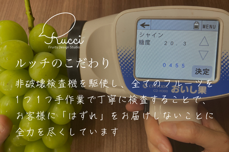 【糖度20度保証付】プレミアム大房シャインマスカット 約750g 1房 FN-Limited 104-043-FN | 【数量超限定】旬の美味しいフルーツだけをお届けします【ルッチ Rucci】産地直
