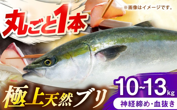 
                  壱岐産　天然ブリ　丸ごと1本　10kg～13kg《壱岐市》 【みやげ処 縁由】 [JBJ033] 200000 200000円 20万円
                