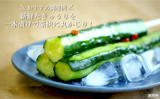 《令和7年分》数量限定！季節のお野菜詰め合わせ 夏(配送時期：7月～8月)【01017】_イメージ5