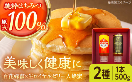 蜂蜜 コハマのハチミツ 500g 2本セット   BCAQ004