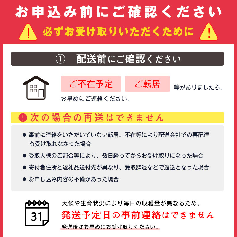 先行予約 山形県産 さくらんぼ 紅秀峰 2L 秀品 1kg （ばらパック詰 ) 500g×2パック 令和8年産【2026年6月中旬頃～7月上旬頃発送予定】※配送不可 沖縄・離島　040-A-KB004