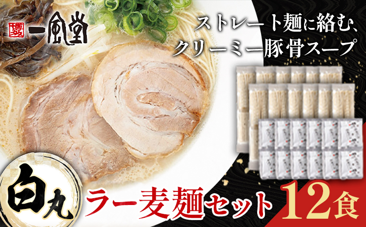 ラーメン 一風堂 白丸 ラー麦麺 セット 12食 地域商社ふるさぽ《90日以内に出荷予定(土日祝除く)》福岡県 鞍手町 ラーメン とんこつ 豚骨スープ 豚骨ラーメン ラー麦 麺---skr_fsipdr_90d_26_15500_12s---