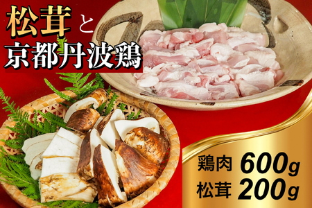 京都丹波鶏と松茸すき焼きセット すき焼き