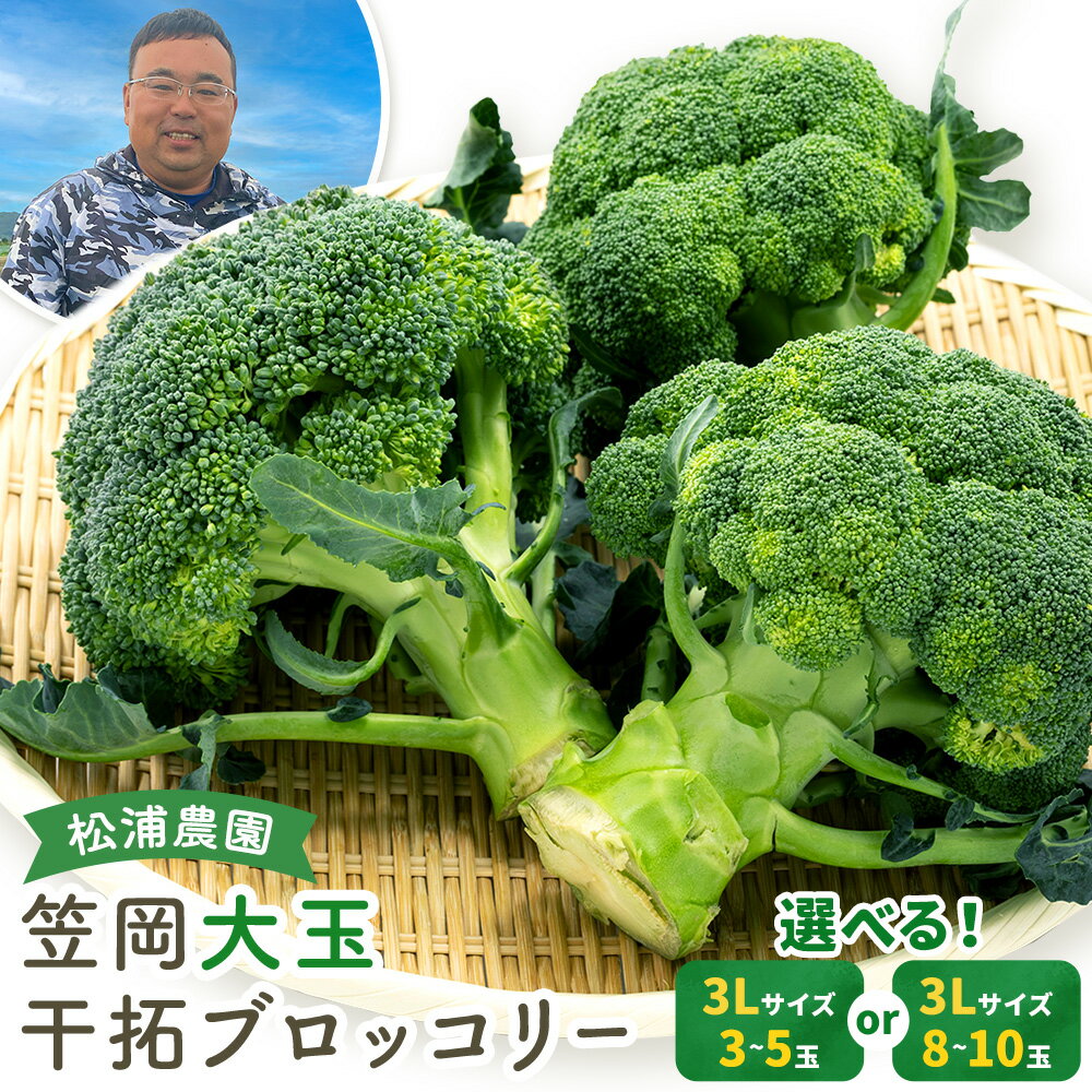 【ふるさと納税】 大玉 干拓 ブロッコリー 3Lサイズ 選べる 3~5玉 8~10玉 松浦農園 【配送不可地域あり】（離島） 《2025年12月上旬-2026年5月中旬頃出荷》 岡山県 笠岡市 野菜 青果物
