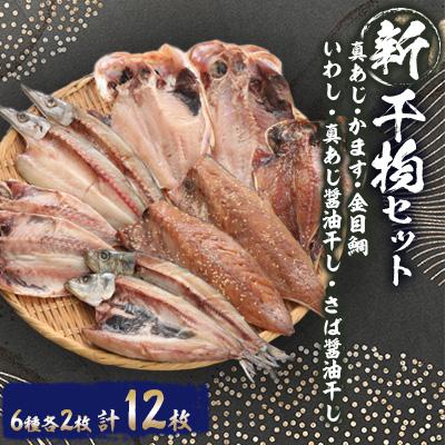 ふるさと納税 沼津市 新6種類2枚ずつ12枚セット