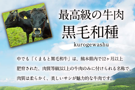 A5ランク くまもと黒毛和牛 焼肉用 400g《90日以内に順次出荷（土日祝除く）》 南阿蘇食品---sms_fas5kwyk_90d_23_22500_400g---