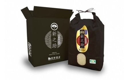 新米先行予約【10ヶ月定期便・11月～発送】新之助 無洗米 5kg×10回 （計 50kg）重ちゃんのお米 令和8年産米 [Y0084]