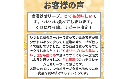 グリーンオリーブの実 塩漬け 65g×4パック  漬け物 保存食 ご飯のお供 おつまみ 漬物 加工品 食品 F20C-885