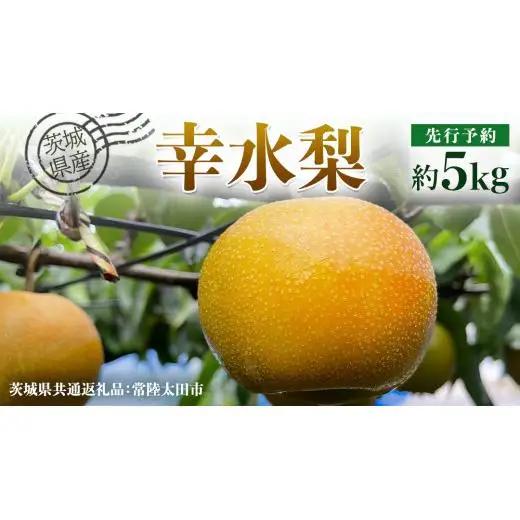 【 先行予約 】茨城県産 梨 幸水 約 5kg 11玉～16玉 ( 茨城県共通返礼品 : 常陸太田市 ) 【 2026年8月中旬発送予定 】