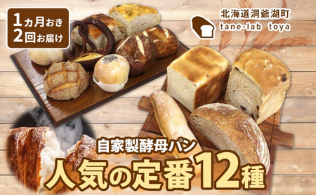 パンセット 自家製酵母パン 人気の定番 パンセット【Lサイズ】【定期便2回】
