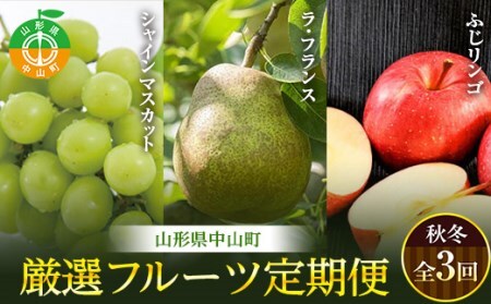 《先行予約》山形県中山町 厳選フルーツ定期便 秋冬 全3回【2024年9月開始】 F4A-0371