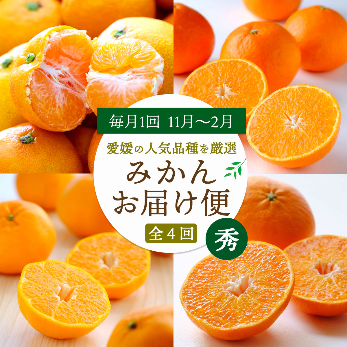 【発送月固定定期便】愛媛の人気品種!かんきつ定期便 11月〜2月全4回【H25-154】【4012888】 YWTAP096