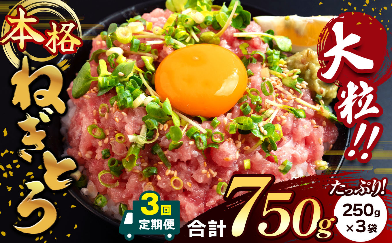 
             【 3回 定期便 】 大人気！ねぎとろ（ 250g × 3袋 ）合計 750g  清幸丸水産 | ネギトロ とろ 鮪 海鮮 魚介 魚 人気 小分け 人気 定番 ご飯 オススメ | 千葉県 君津市 
          