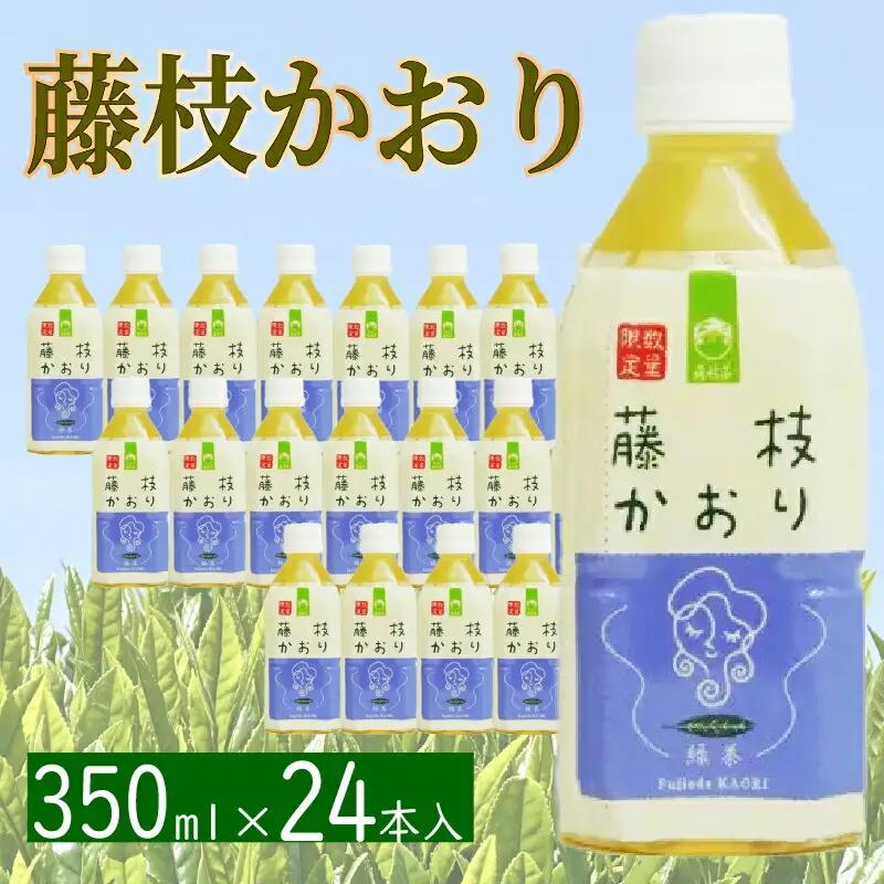 お茶 ペットボトル 緑茶 藤枝かおり 350ml×24本  お茶