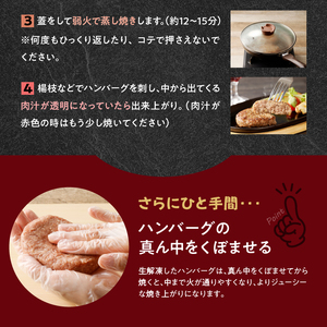 佐賀牛仕込みハンバーグ 8個 ／ ハンバーグ【A164】