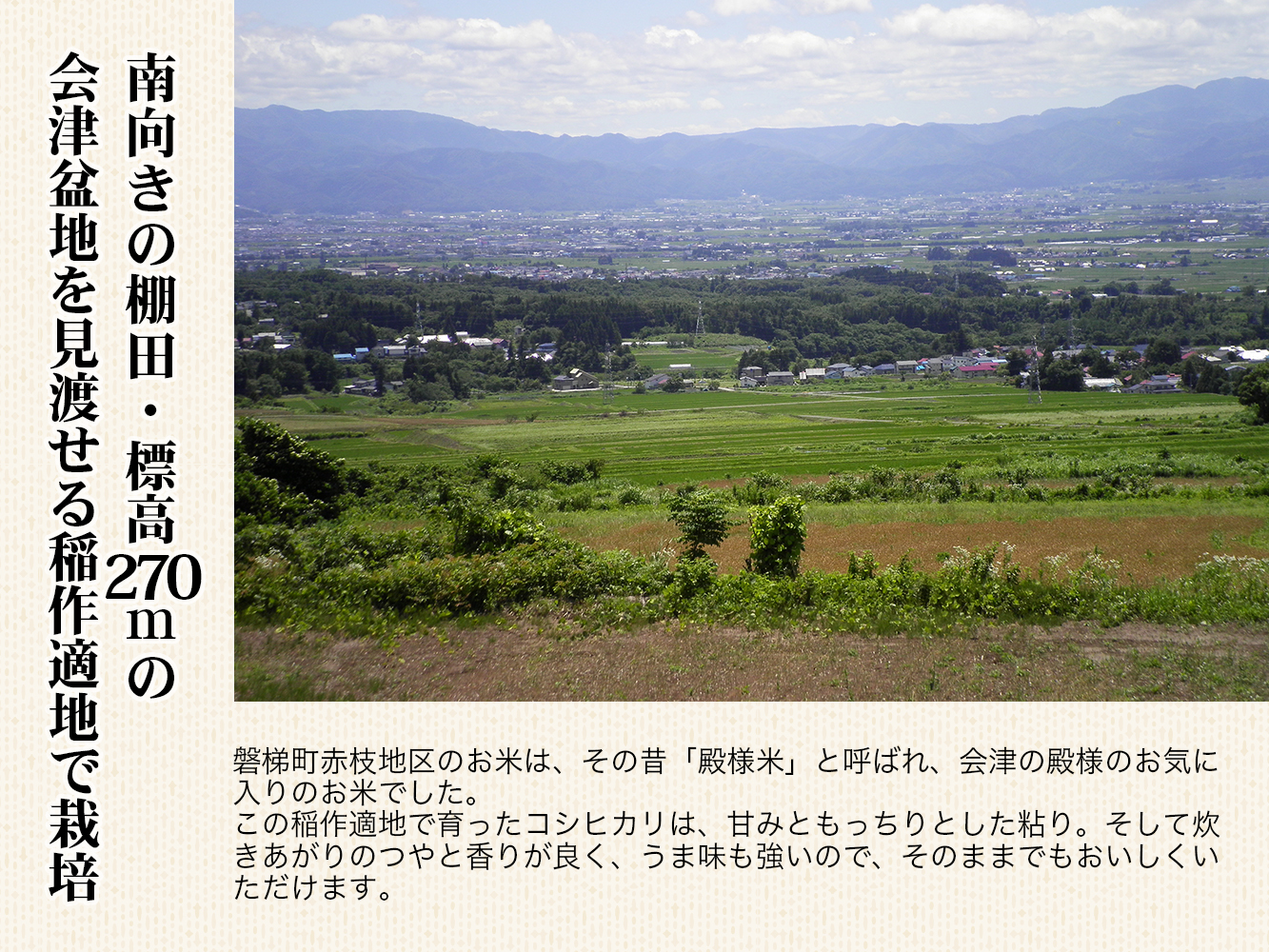 【令和6年産新米】農薬87%削減　コシヒカリ米　合鴨農法　10kg(特別栽培米、旧名：会津磐梯山黄金米）