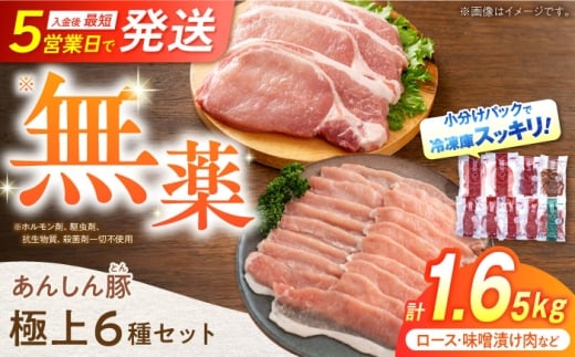 【小分けで便利！トレーなし】あんしん豚の豚肉 極上 6種 セット 1.25kg ｜ 岐阜県 白川町 藤井ファーム [AWAF009]